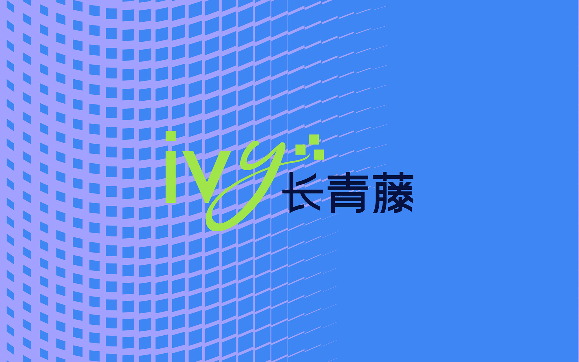 长青藤IVY-branding-01.jpg