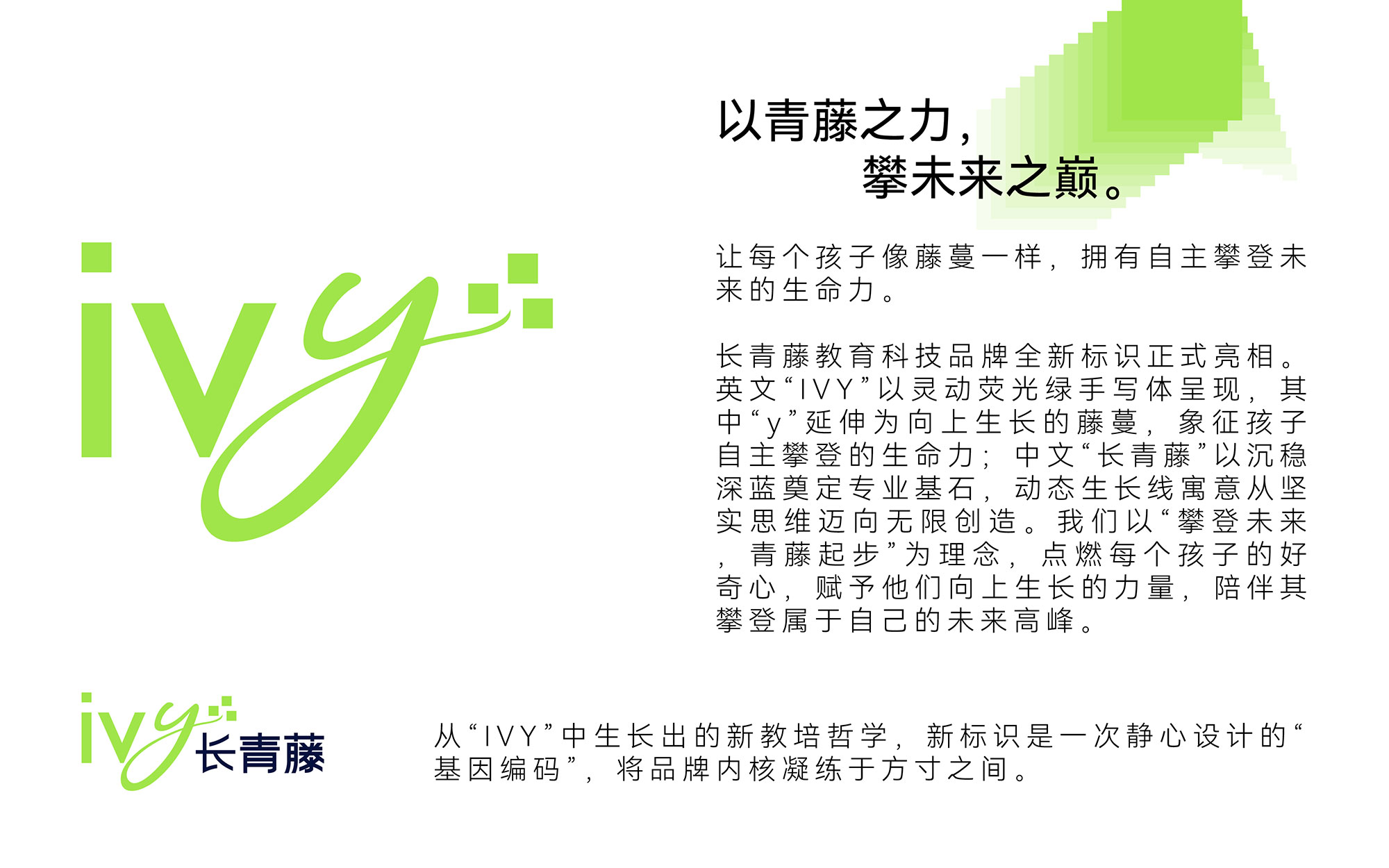 长青藤IVY-branding-03.jpg