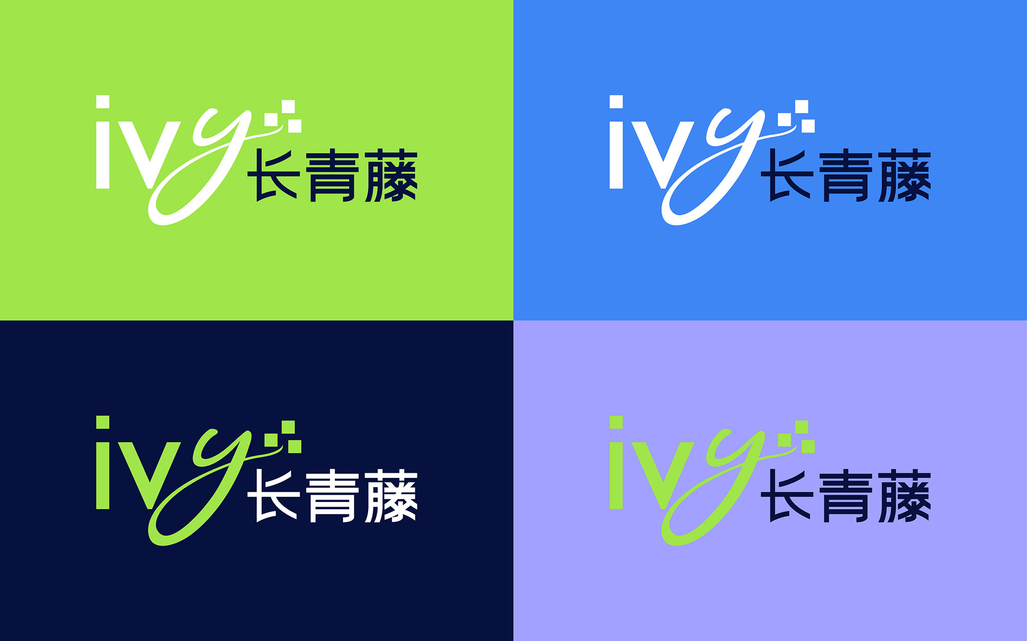 长青藤IVY-branding-06.jpg