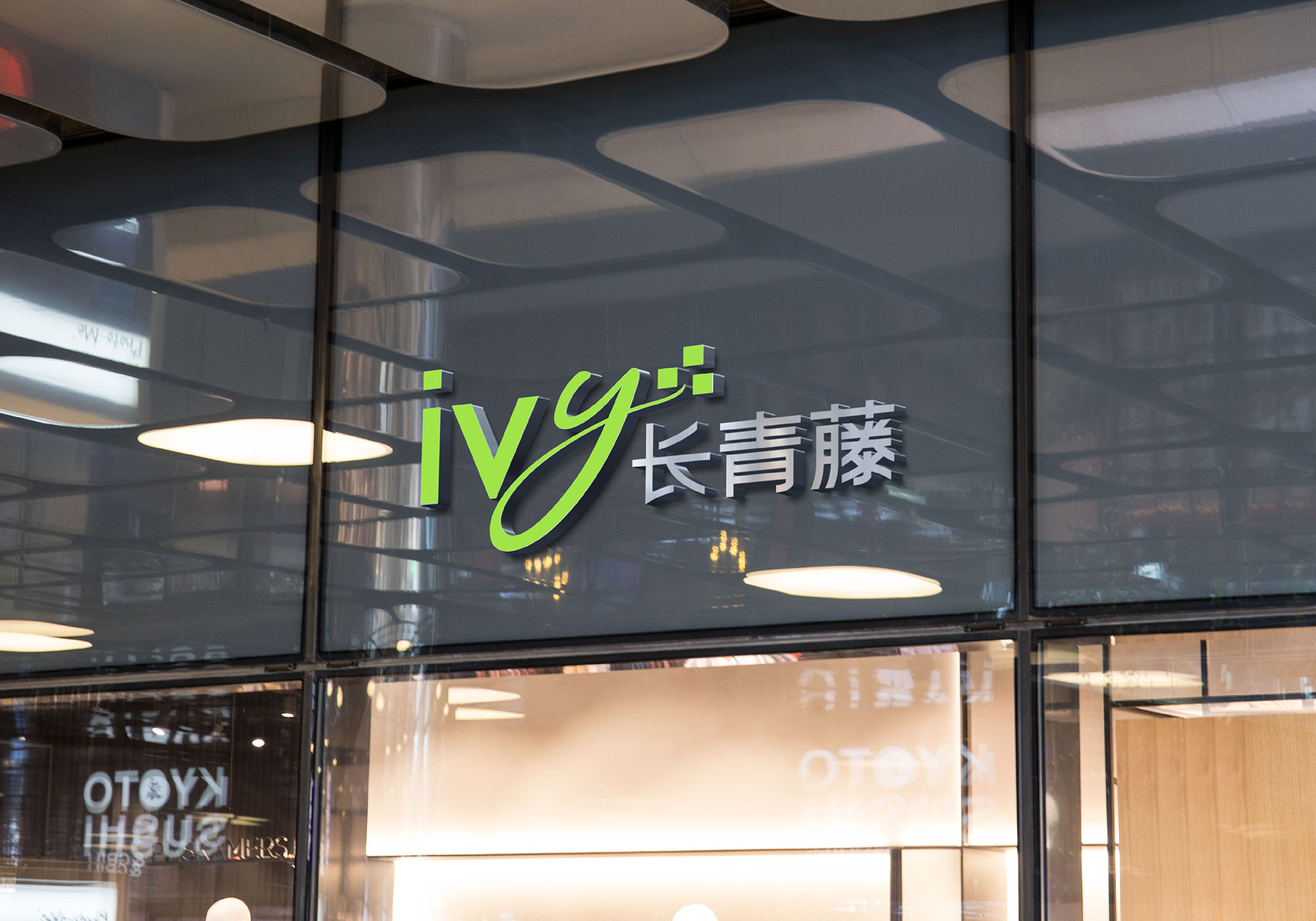 长青藤IVY-branding-09.jpg