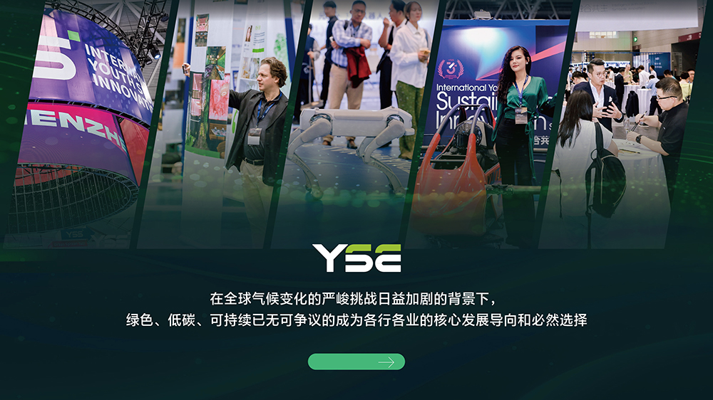 YSE-02.jpg