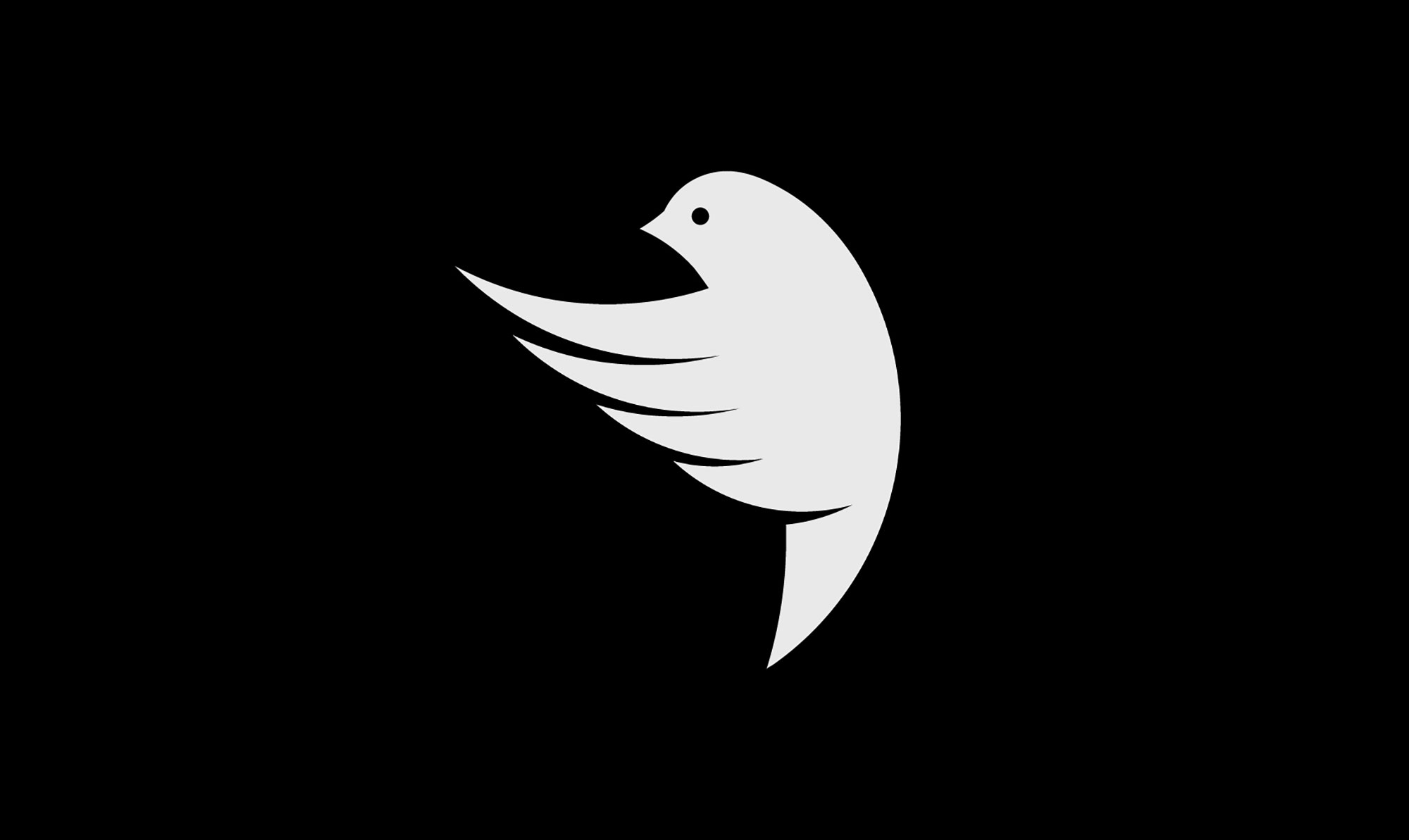 小翅膀Branding-Plan-19.jpg
